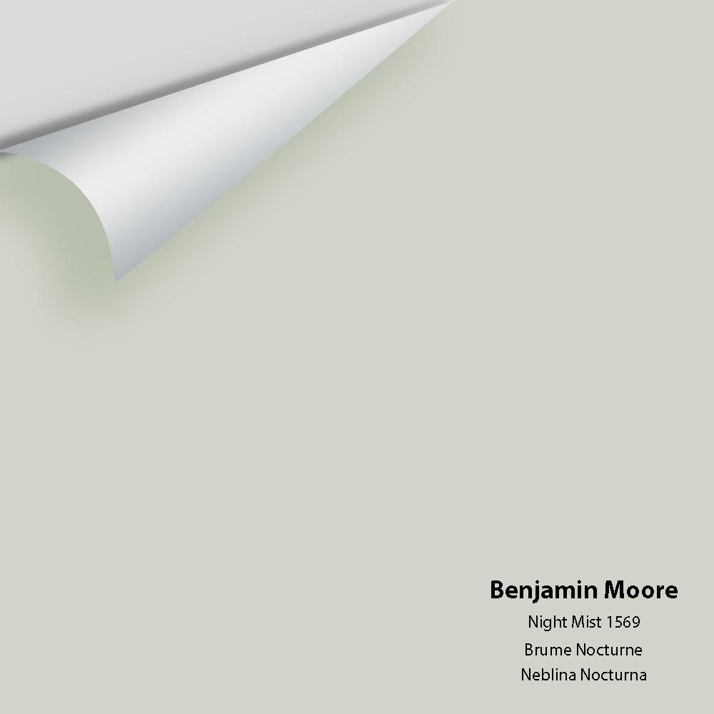 Digital color swatch of Benjamin Moore's Night Mist 1569 Peel & Stick Sample available at Regal Paint Centers in MD & VA.