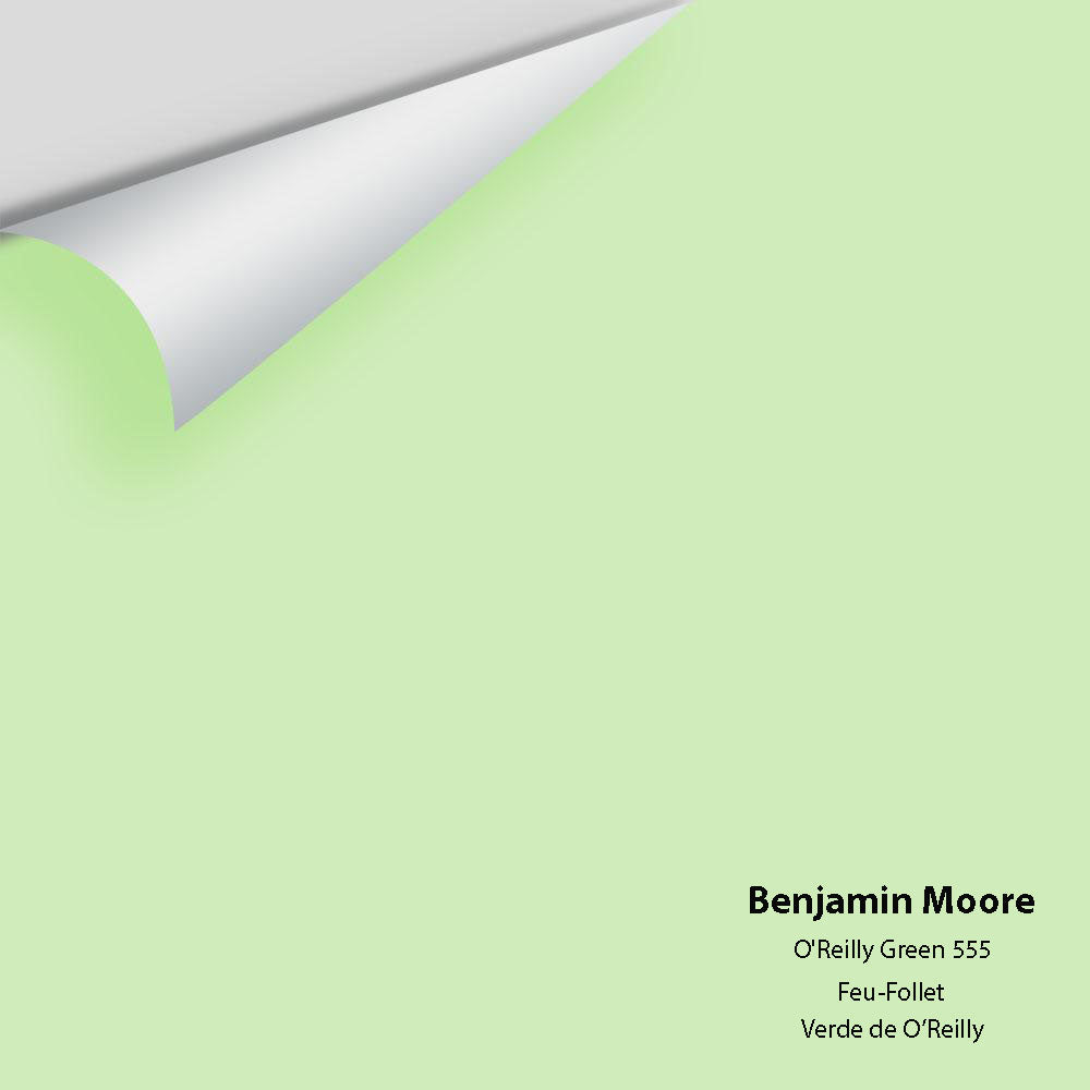 Digital color swatch of Benjamin Moore's O'Reilly Green 555 Peel & Stick Sample available at Regal Paint Centers in MD & VA.