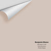 Digital color swatch of Benjamin Moore's Old Stone CC-424 Peel & Stick Sample available at Regal Paint Centers in MD & VA.