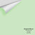 Digital color swatch of Benjamin Moore's Pastel Green 548 Peel & Stick Sample available at Regal Paint Centers in MD & VA.