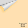 Digital color swatch of Benjamin Moore's Peach Stone 94 Peel & Stick Sample available at Regal Paint Centers in MD & VA.