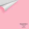 Digital color swatch of Benjamin Moore's Pure Pink 1325 Peel & Stick Sample available at Regal Paint Centers in MD & VA.