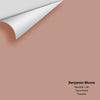 Digital color swatch of Benjamin Moore's Rosedale 1180 Peel & Stick Sample available at Regal Paint Centers in MD & VA.