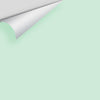 Digital color swatch of Benjamin Moore's Surf Green 2036-60 Peel & Stick Sample available at Regal Paint Centers in MD & VA.