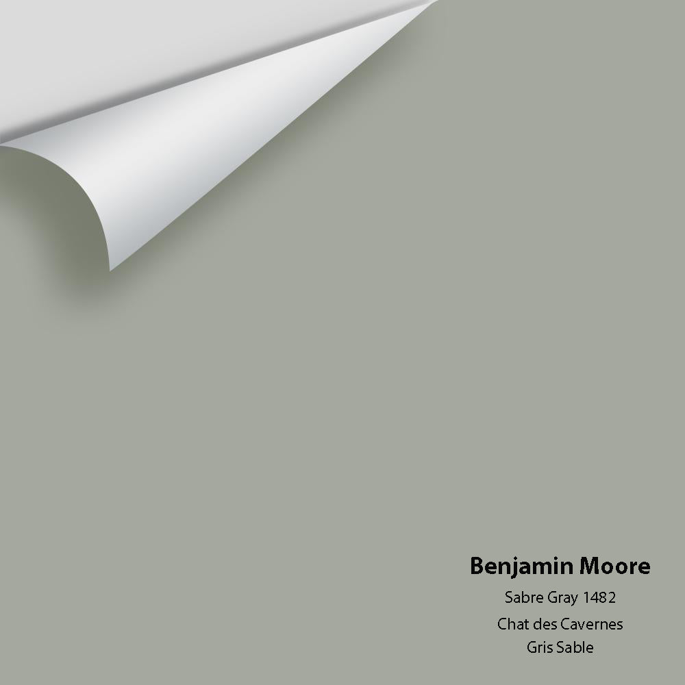 Digital color swatch of Benjamin Moore's Sabre Gray 1482 Peel & Stick Sample available at Regal Paint Centers in MD & VA.