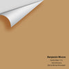 Digital color swatch of Benjamin Moore's Sandy Valley 1112 Peel & Stick Sample available at Regal Paint Centers in MD & VA.