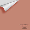 Digital color swatch of Benjamin Moore's Savannah Clay 47 Peel & Stick Sample available at Regal Paint Centers in MD & VA.