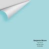 Digital color swatch of Benjamin Moore's Sea Isle 751 Peel & Stick Sample available at Regal Paint Centers in MD & VA.