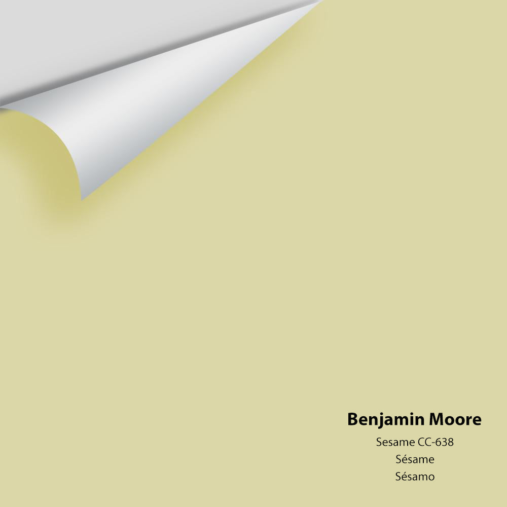 Digital color swatch of Benjamin Moore's Sesame 381 Peel & Stick Sample available at Regal Paint Centers in MD & VA.