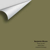 Digital color swatch of Benjamin Moore's Shady Lane 497 Peel & Stick Sample available at Regal Paint Centers in MD & VA.