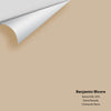 Digital color swatch of Benjamin Moore's Sierra Hills 1053 Peel & Stick Sample available at Regal Paint Centers in MD & VA.