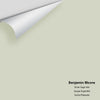 Digital color swatch of Benjamin Moore's Silver Sage 506 Peel & Stick Sample available at Regal Paint Centers in MD & VA.