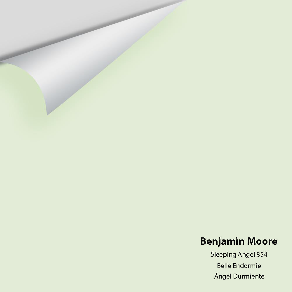 Digital color swatch of Benjamin Moore's Sleeping Angel 854 Peel & Stick Sample available at Regal Paint Centers in MD & VA.