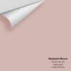 Digital color swatch of Benjamin Moore's Sonoma Clay 1242 Peel & Stick Sample available at Regal Paint Centers in MD & VA.