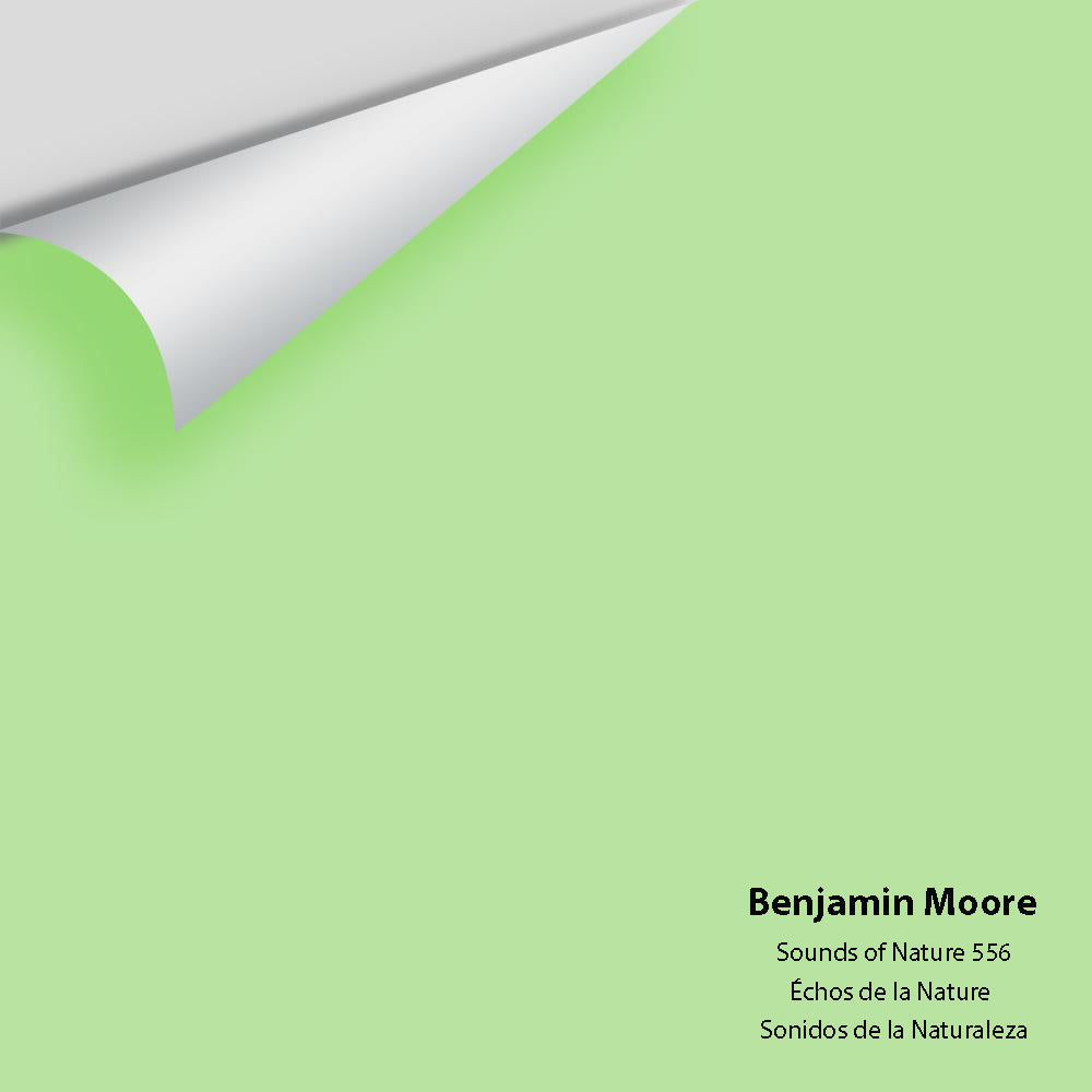 Digital color swatch of Benjamin Moore's Sounds of Nature 556 Peel & Stick Sample available at Regal Paint Centers in MD & VA.