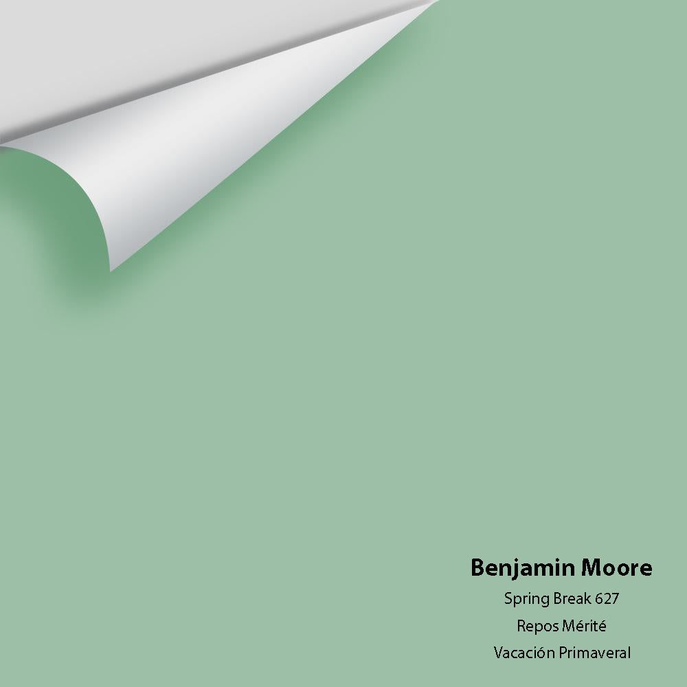 Digital color swatch of Benjamin Moore's Spring Break 627 Peel & Stick Sample available at Regal Paint Centers in MD & VA.