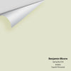 Digital color swatch of Benjamin Moore's Spring Bud 520 Peel & Stick Sample available at Regal Paint Centers in MD & VA.