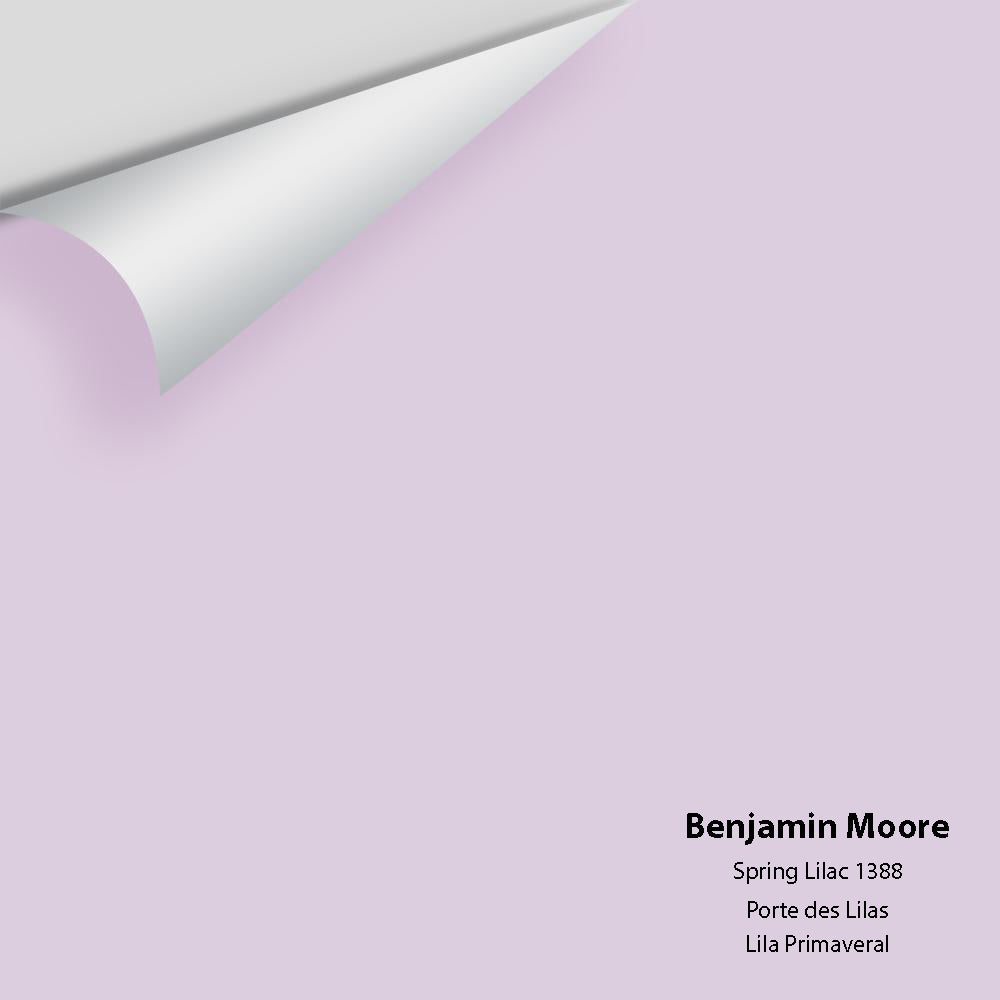 Digital color swatch of Benjamin Moore's Spring Lilac 1388 Peel & Stick Sample available at Regal Paint Centers in MD & VA.