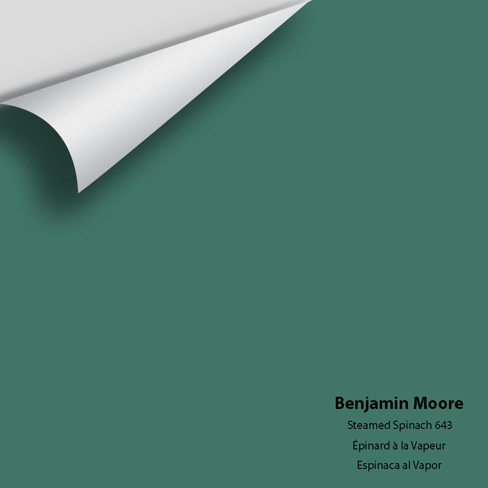 Digital color swatch of Benjamin Moore's Steamed Spinach 643 Peel & Stick Sample available at Regal Paint Centers in MD & VA.