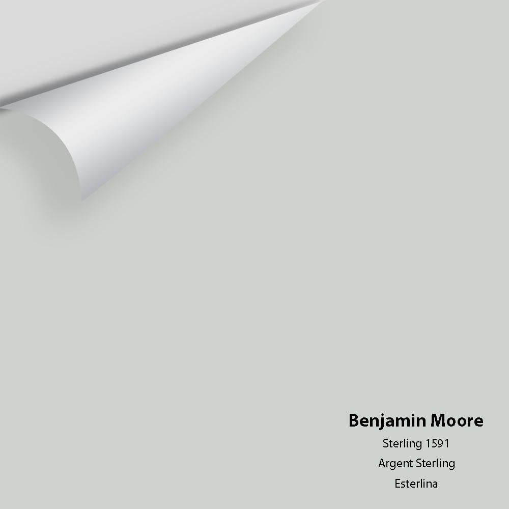 Digital color swatch of Benjamin Moore's Sterling 1591 Peel & Stick Sample available at Regal Paint Centers in MD & VA.