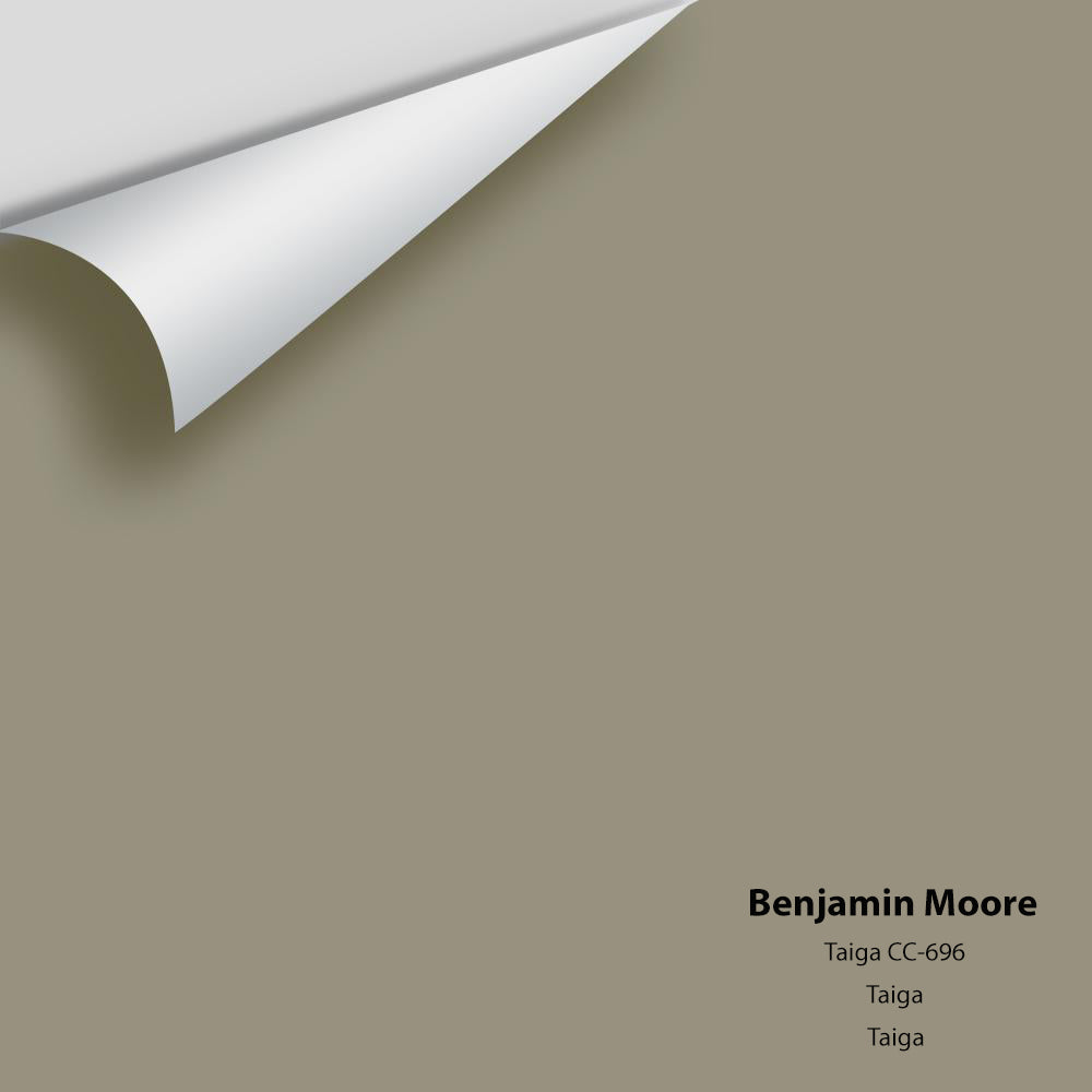 Digital color swatch of Benjamin Moore's Taiga CC-696 Peel & Stick Sample available at Regal Paint Centers in MD & VA.