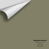 Digital color swatch of Benjamin Moore's Tate Olive HC-112 Peel & Stick Sample available at Regal Paint Centers in MD & VA.