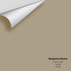 Digital color swatch of Benjamin Moore's Turret CC-604 Peel & Stick Sample available at Regal Paint Centers in MD & VA.