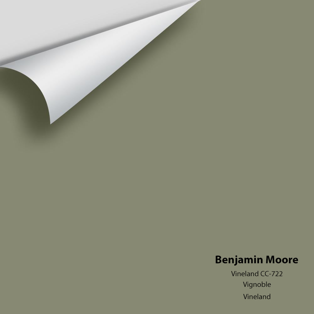 Digital color swatch of Benjamin Moore's Vineland CC-722 Peel & Stick Sample available at Regal Paint Centers in MD & VA.