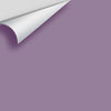 Digital color swatch of Benjamin Moore's Wild Orchid 2072-40 Peel & Stick Sample available at Regal Paint Centers in MD & VA.