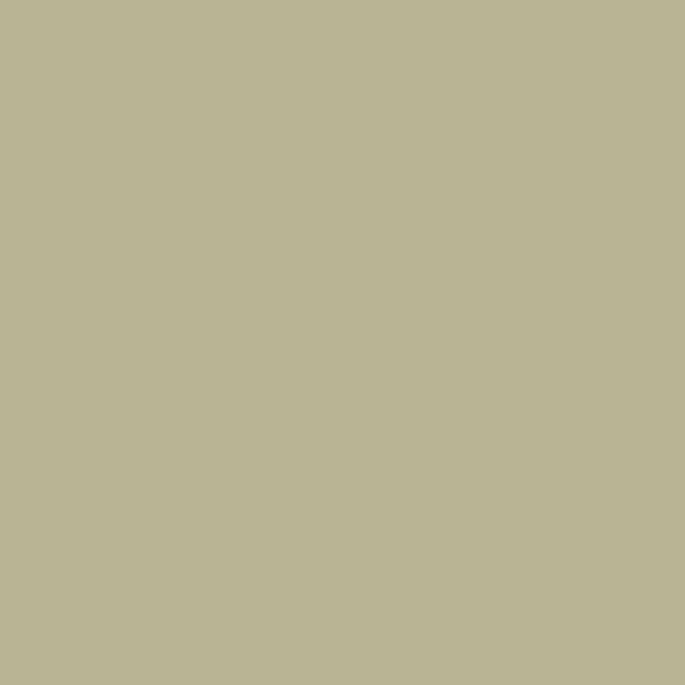 No. 75 Ball Green by Farrow & Ball, available at Regal Paint Centers