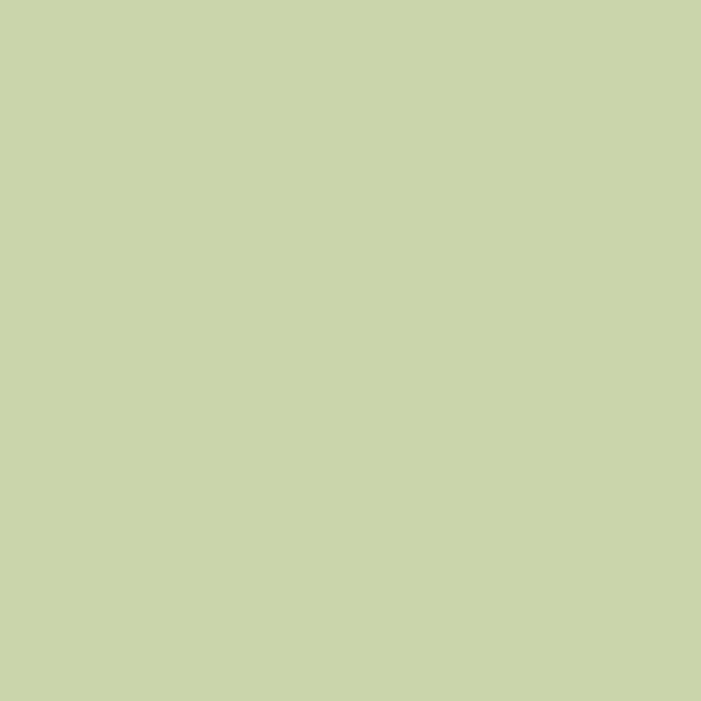 No. 32 Cooking Apple Green by Farrow & Ball, available at Regal Paint Centers