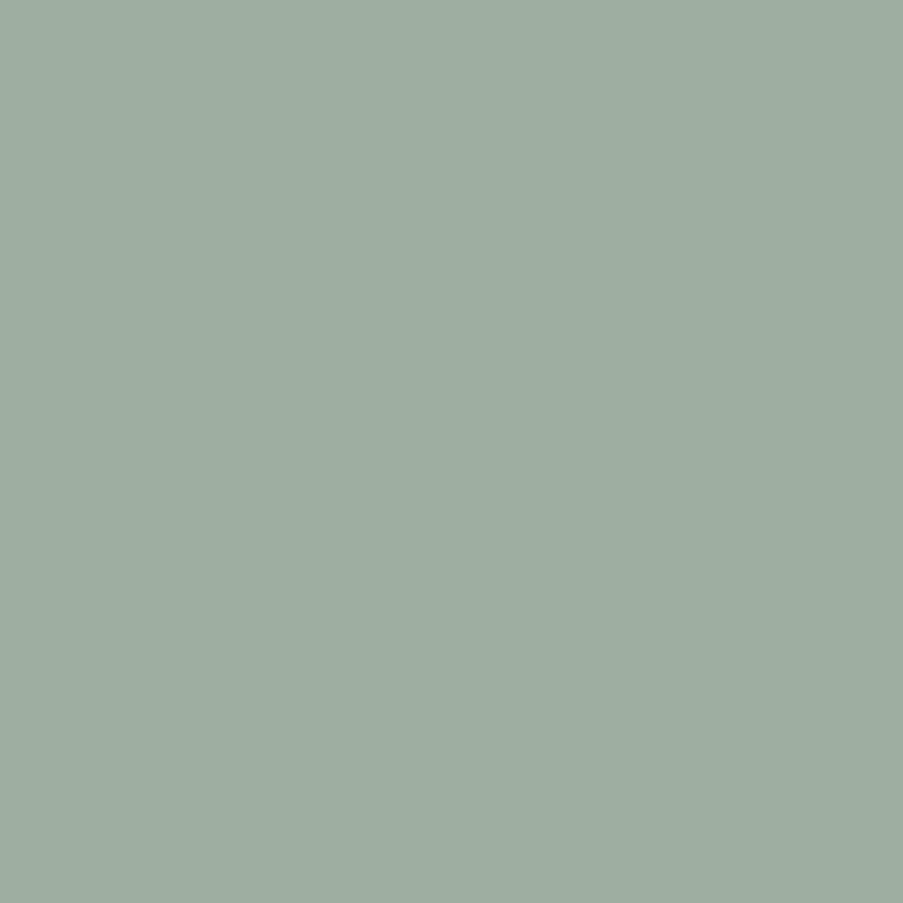 No. 84 Green Blue by Farrow & Ball, available at Regal Paint Centers