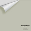 Digital color swatch of Benjamin Moore's Horizon Gray 2141-50 Peel & Stick Sample available at Regal Paint Centers in MD & VA.