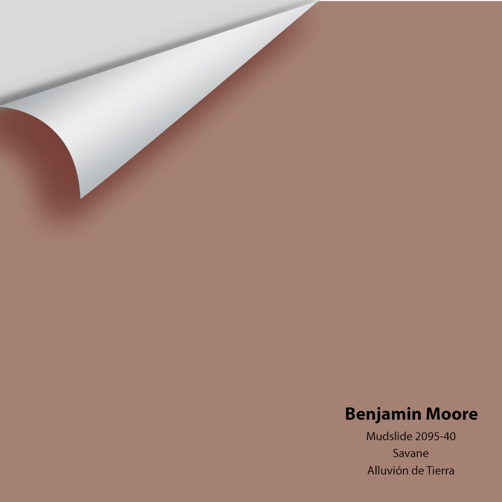 Digital color swatch of Benjamin Moore's Mudslide 2095-40 Peel & Stick Sample available at Regal Paint Centers in MD & VA.