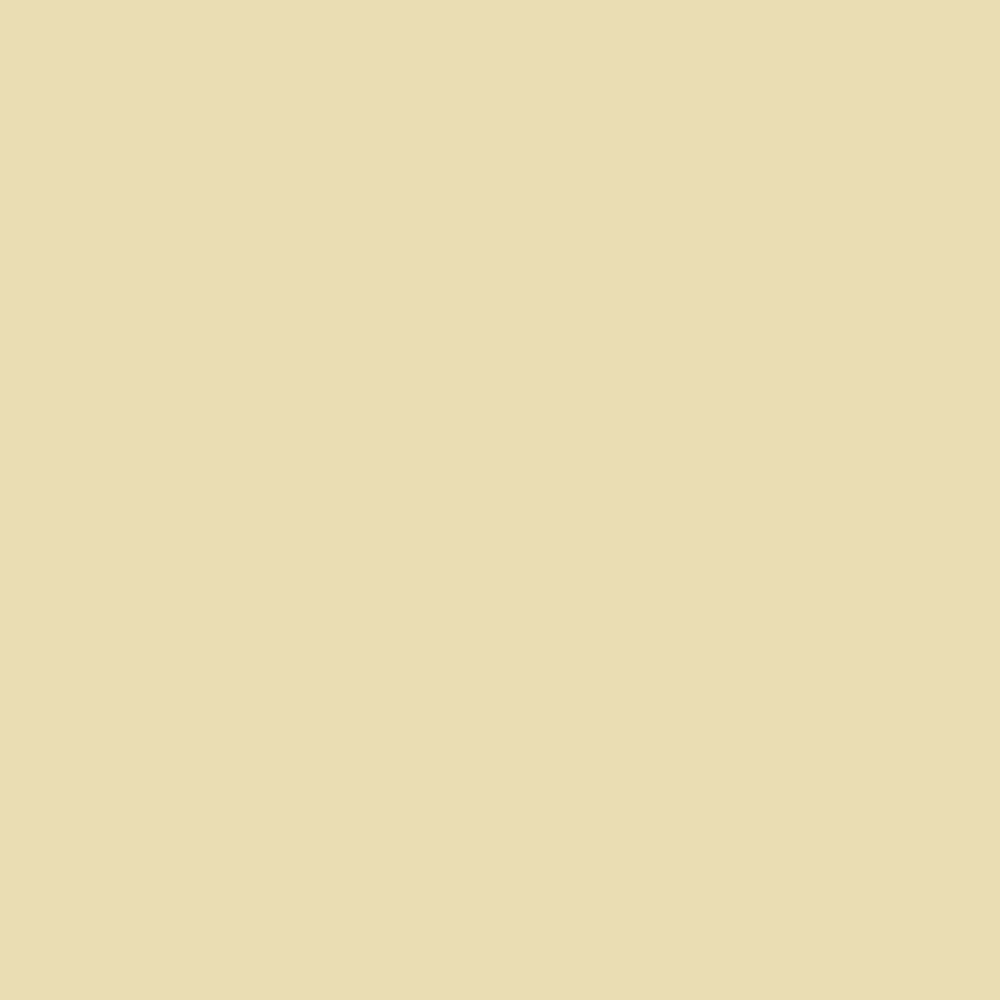 No. 10 Fawn by Farrow & Ball, available at Regal Paint Centers