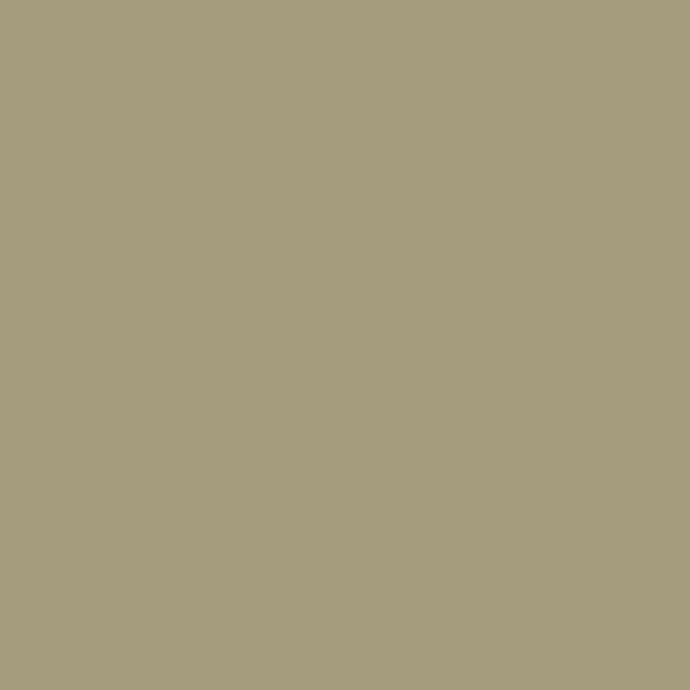 No. 12 Green Stone by Farrow & Ball, available at Regal Paint Centers