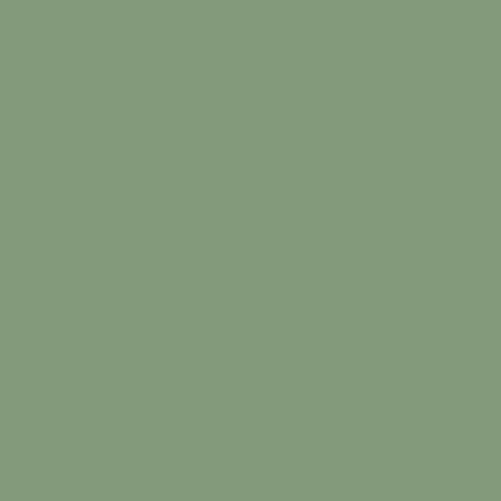 No. 33 Pea Green by Farrow & Ball, available at Regal Paint Centers