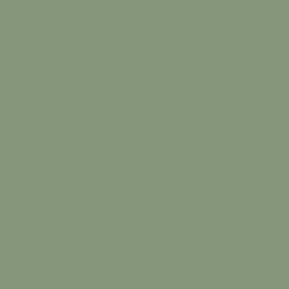 No. 78 Sutliffe Green by Farrow & Ball, available at Regal Paint Centers