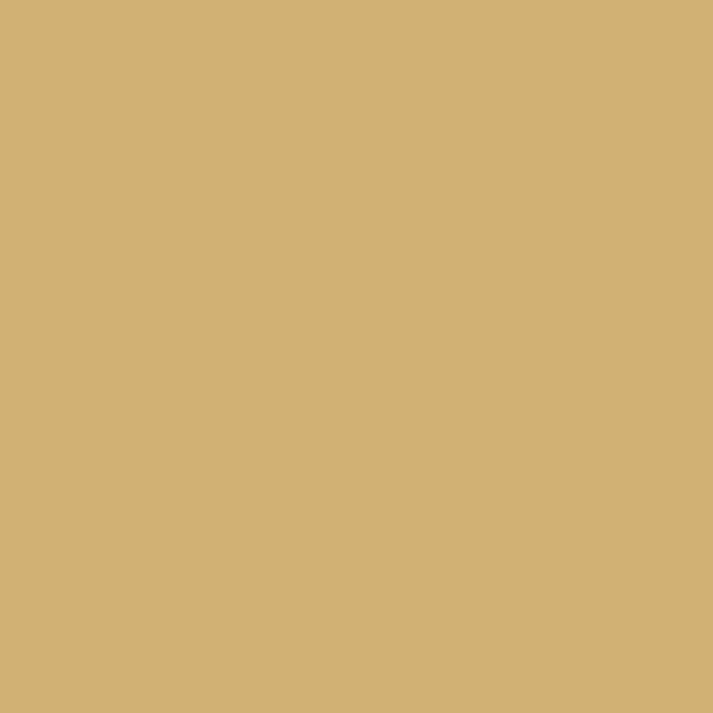 No. 7 Octagon Yellow by Farrow & Ball, available at Regal Paint Centers