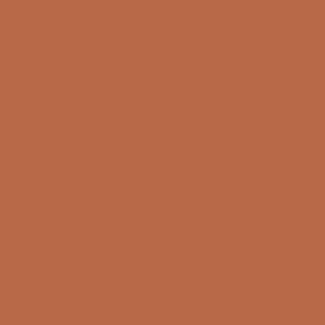 No. 64 Red Earth by Farrow & Ball, available at Regal Paint Centers