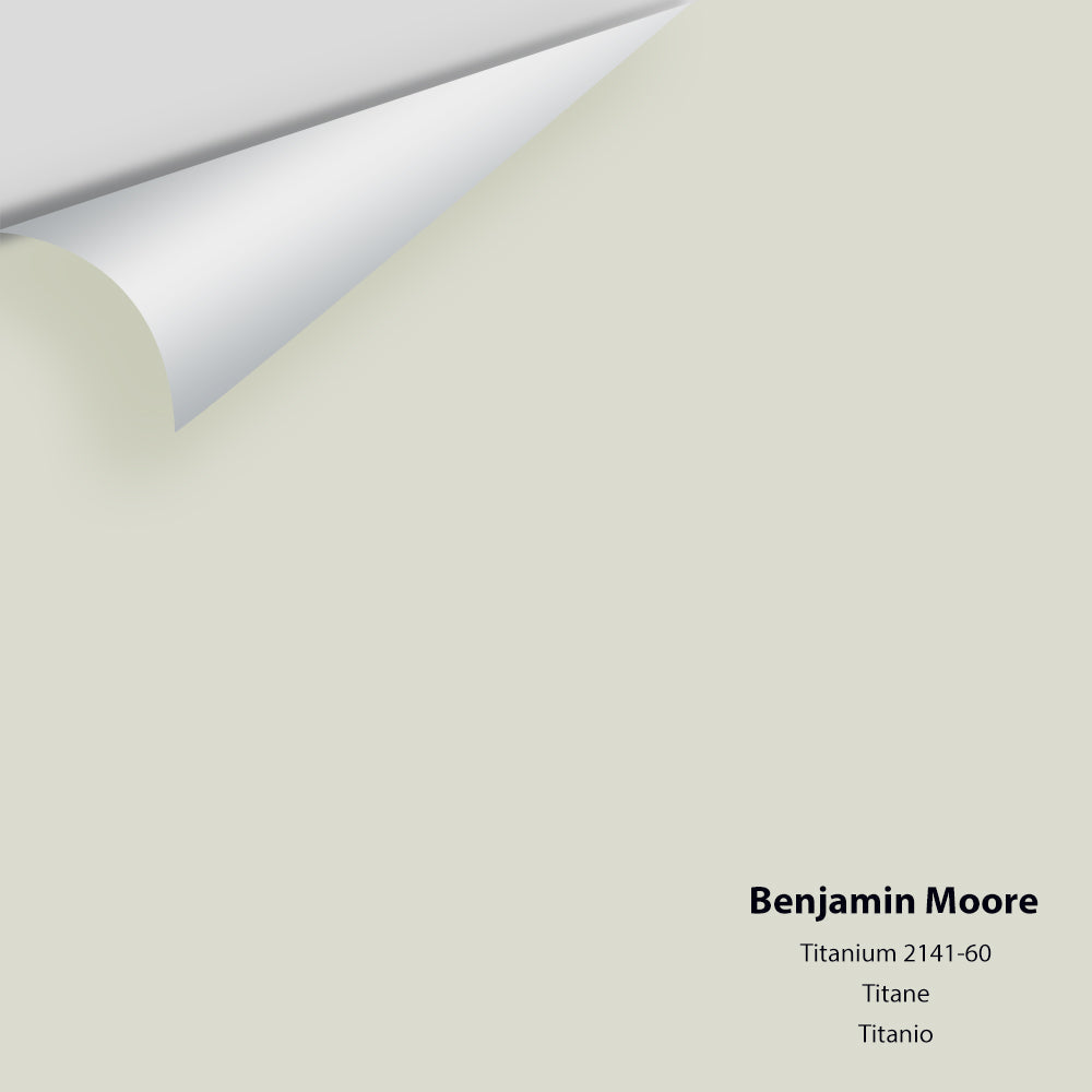 Digital color swatch of Benjamin Moore's Titanium 2141-60 Peel & Stick Sample available at Regal Paint Centers in MD & VA.