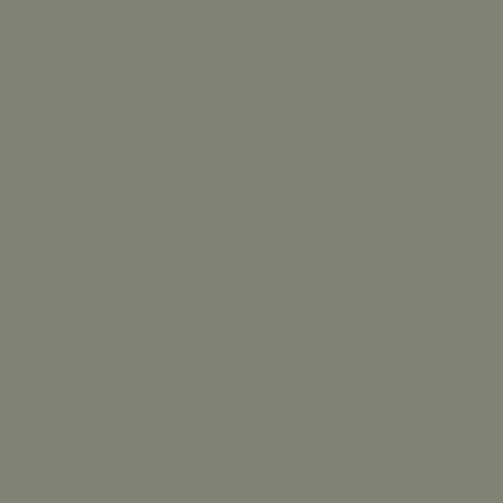 No. 292 Treron by Farrow & Ball, available at Regal Paint Centers