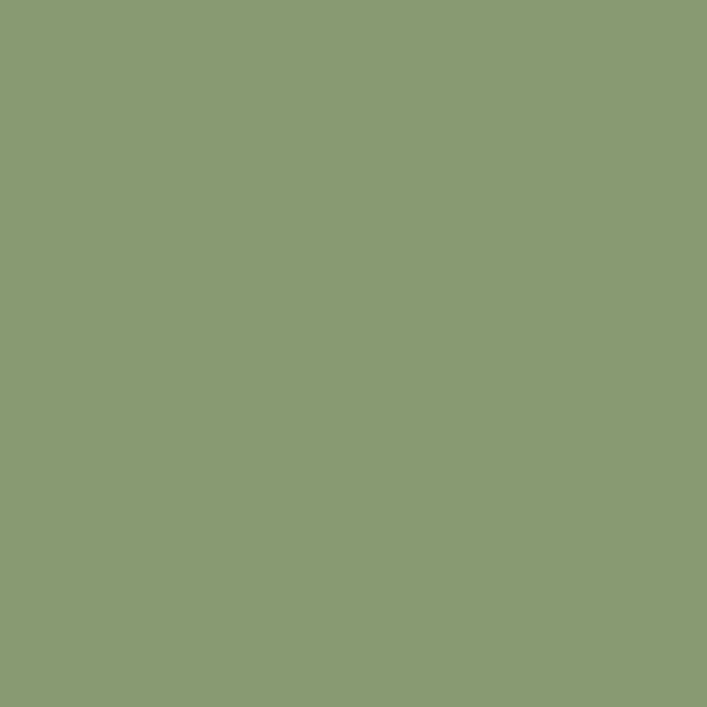 No. 287 Yeabridge Green by Farrow & Ball, available at Regal Paint Centers