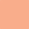 Shop Benajmin Moore's 081 Intense Peach at Regal Paint Centers in Maryland & Virgina. Maryland's favorite Benjamin Moore dealer.