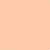 Shop Benajmin Moore's 088 Summer Peach at Regal Paint Centers in Maryland & Virgina. Maryland's favorite Benjamin Moore dealer.