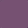 Shop Benajmin Moore's 1372 Ultra Violet at Regal Paint Centers in Maryland & Virgina. Maryland's favorite Benjamin Moore dealer.