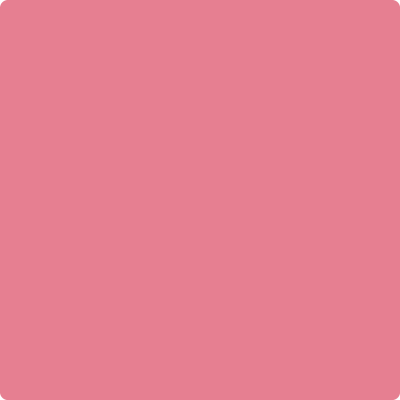 Shop Benajmin Moore's 2004-40 Pink Starburst at Regal Paint Centers in Maryland & Virgina. Maryland's favorite Benjamin Moore dealer.