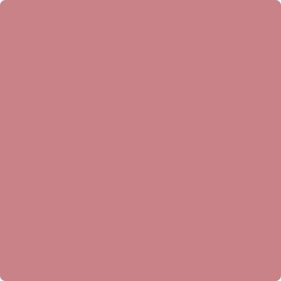 Shop Benajmin Moore's 2005-40 Genuine Pink at Regal Paint Centers in Maryland & Virgina. Maryland's favorite Benjamin Moore dealer.