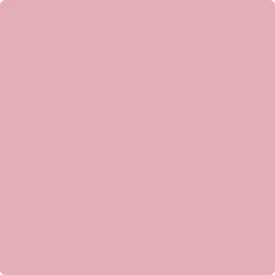 Shop Benajmin Moore's 2005-50 Pink Eraser at Regal Paint Centers in Maryland & Virgina. Maryland's favorite Benjamin Moore dealer.