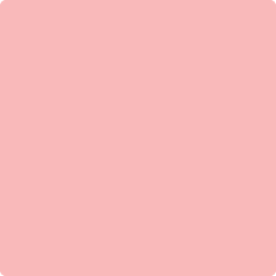 Shop Benajmin Moore's 2008-50 Delicate Rose at Regal Paint Centers in Maryland & Virgina. Maryland's favorite Benjamin Moore dealer.